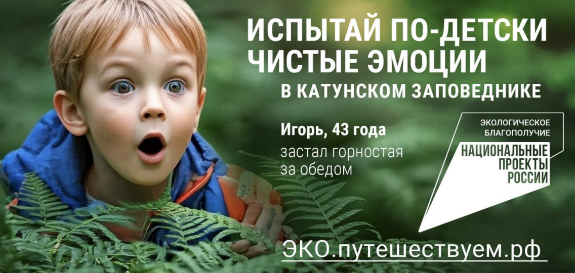 Экотуризм на заповедных территориях страны, национальный проект «Экологическое благополучие»